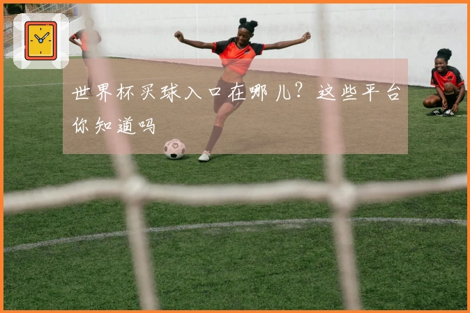 世界杯买球入口在哪儿？这些平台你知道吗